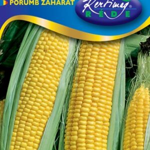 Csemegekukorica, Royalty F1, 25 szem